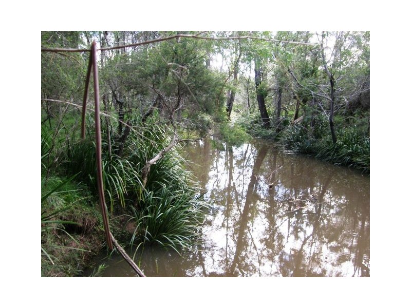 Lot 4 Chard Close, Pillar Valley NSW 2462