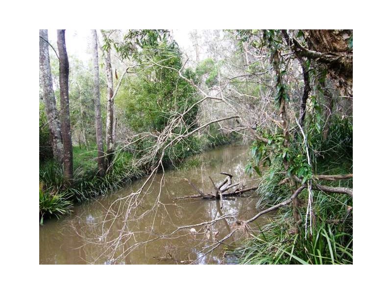 Lot 4 Chard Close, Pillar Valley NSW 2462