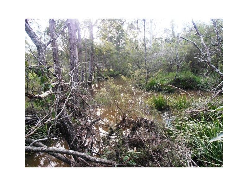 Lot 4 Chard Close, Pillar Valley NSW 2462