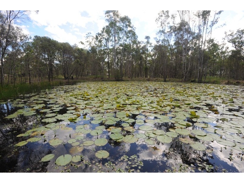 237 Kangaroo Creek Road, Coutts Crossing NSW 2460