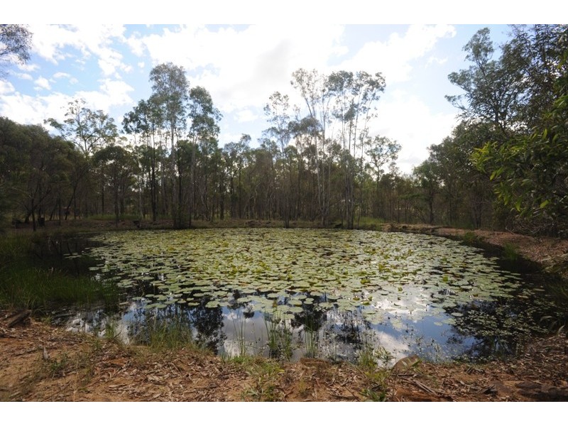 237 Kangaroo Creek Road, Coutts Crossing NSW 2460