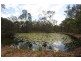 237 Kangaroo Creek Road, Coutts Crossing NSW 2460