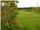 Lot 111 West Lanitza Road, Lanitza NSW 2460
