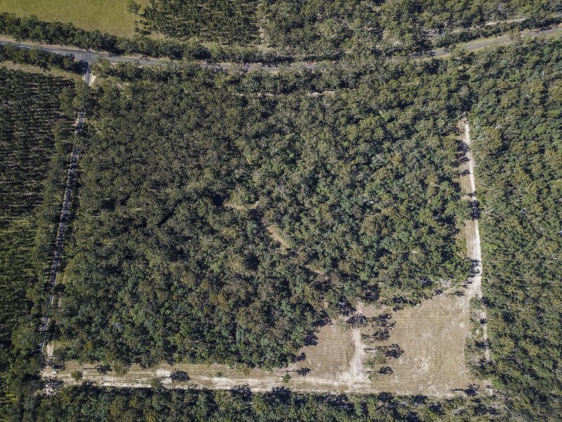 4873 Orara Way, Braunstone NSW 2460