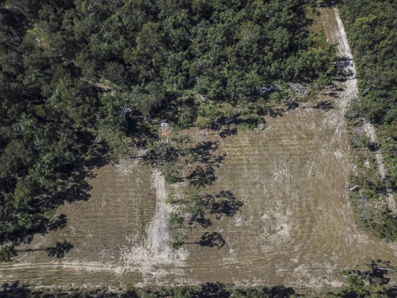 4873 Orara Way, Braunstone NSW 2460