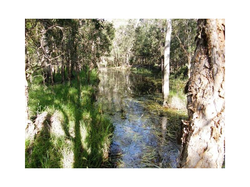 4873 Orara Way, Braunstone NSW 2460