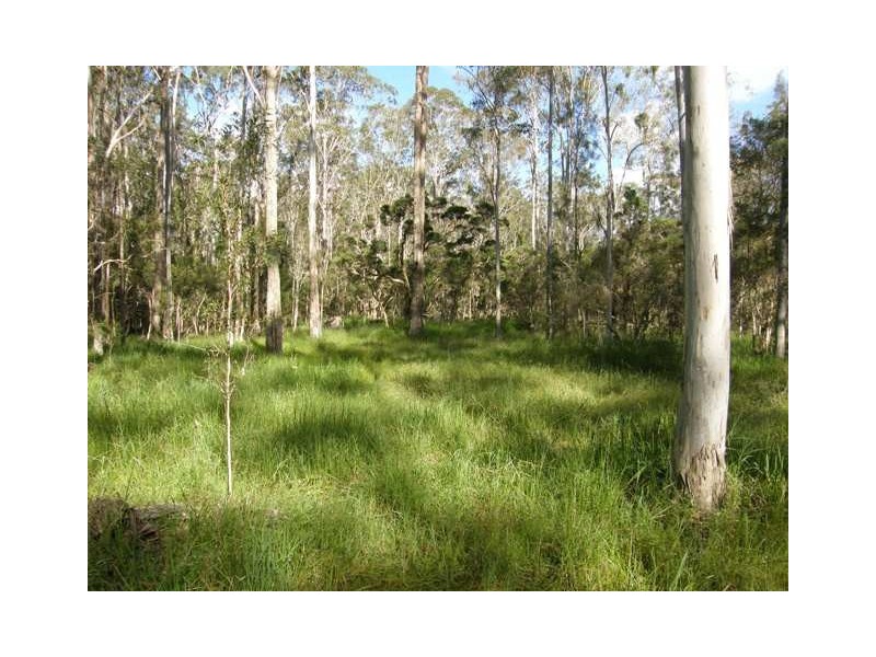 4873 Orara Way, Braunstone NSW 2460