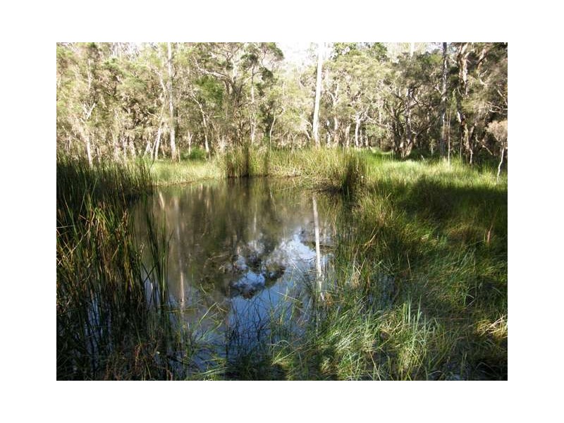 4873 Orara Way, Braunstone NSW 2460