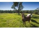 Lot 4 Kangaroo Creek Road, Kangaroo Creek NSW 2460