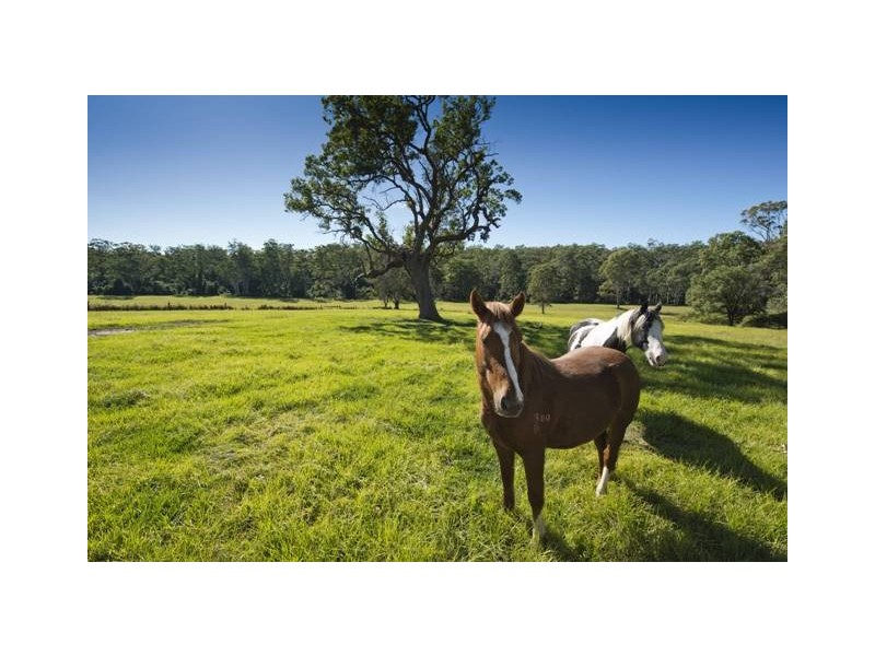 Lot 4 Kangaroo Creek Road, Kangaroo Creek NSW 2460