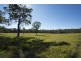 Lot 4 Kangaroo Creek Road, Kangaroo Creek NSW 2460