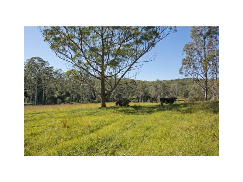 Lot 4 Kangaroo Creek Road, Kangaroo Creek NSW 2460