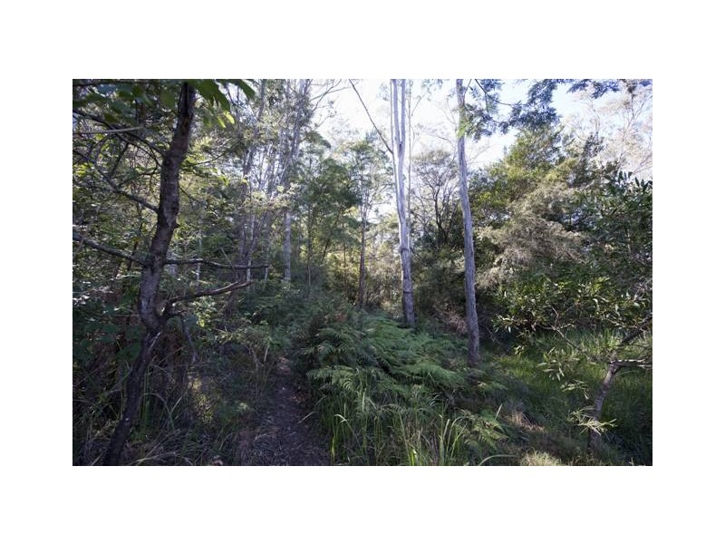 Lot 4 Kangaroo Creek Road, Kangaroo Creek NSW 2460