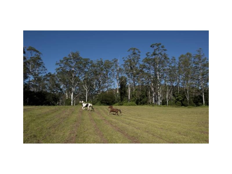 Lot 4 Kangaroo Creek Road, Kangaroo Creek NSW 2460