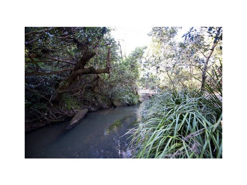 Lot 4 Kangaroo Creek Road, Kangaroo Creek NSW 2460