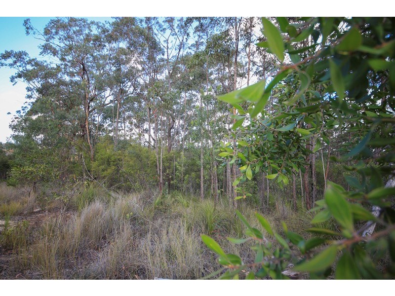 3 Irwin Close, The Pinnacles NSW 2460