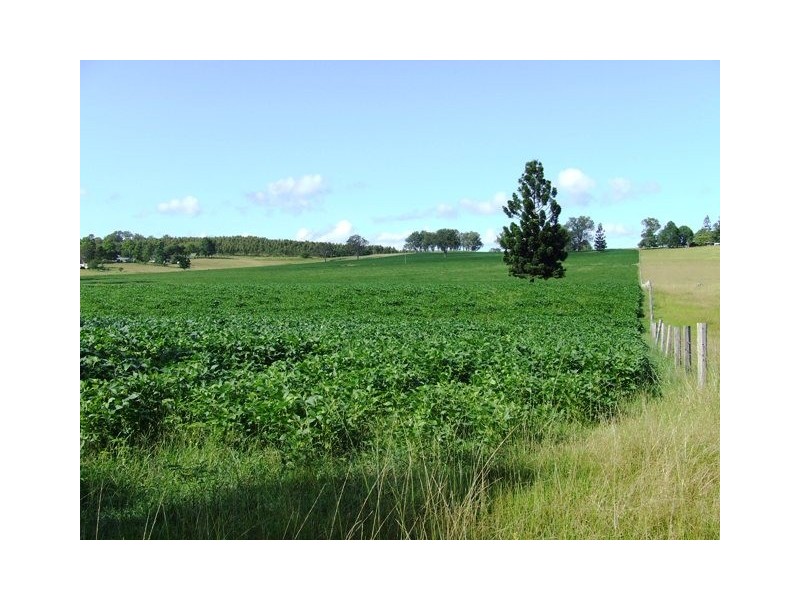 2469 Kangaroo Creek Road, Kangaroo Creek NSW 2460