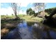 2469 Kangaroo Creek Road, Kangaroo Creek NSW 2460