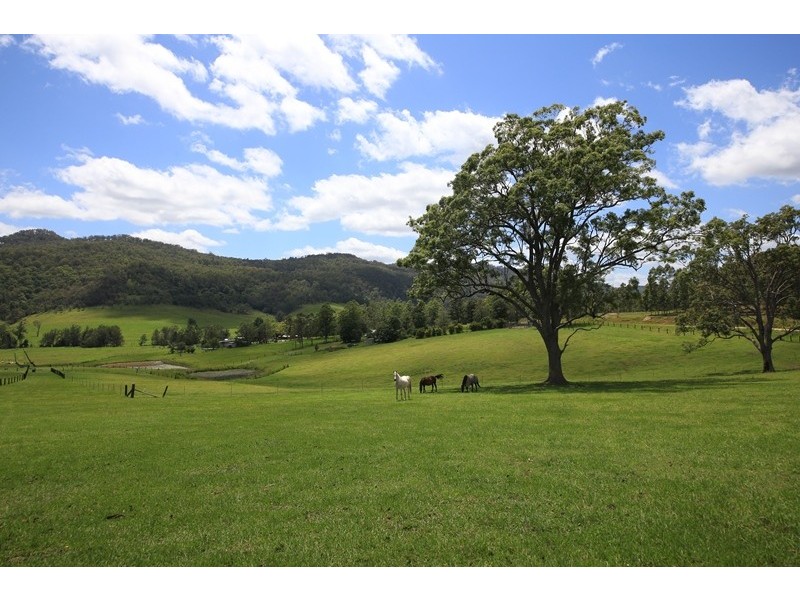 2469 Kangaroo Creek Road, Kangaroo Creek NSW 2460