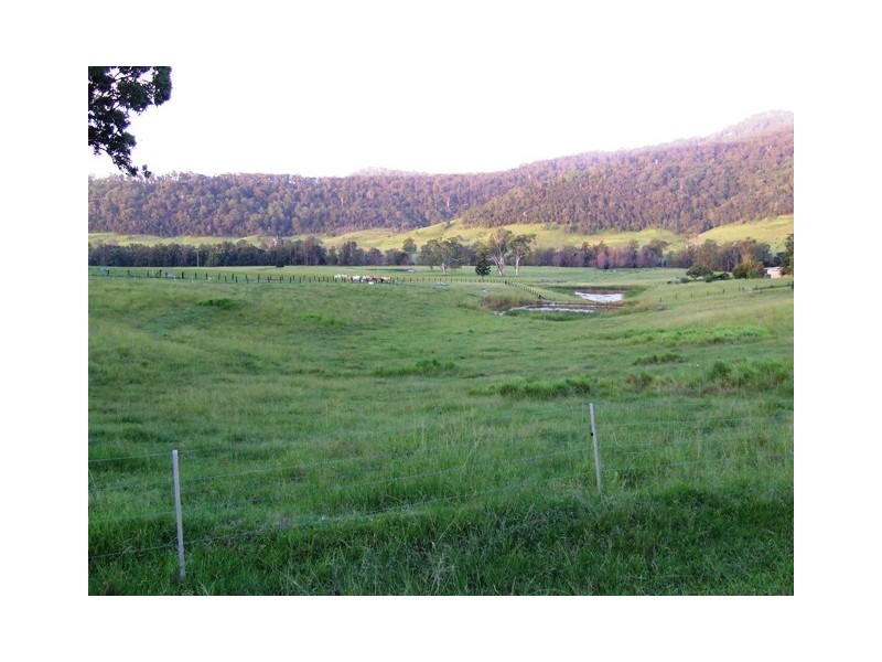 2469 Kangaroo Creek Road, Kangaroo Creek NSW 2460