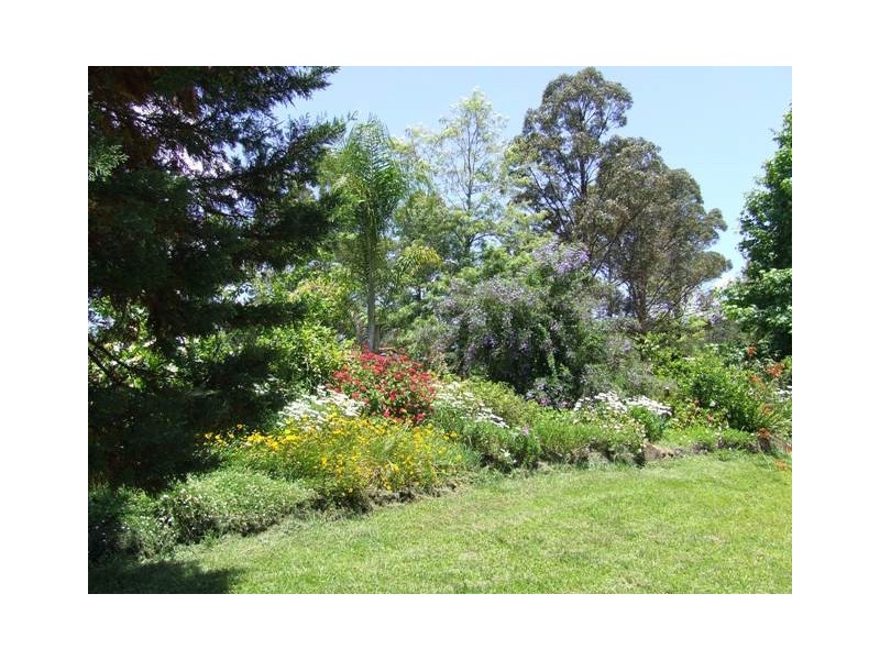 2469 Kangaroo Creek Road, Kangaroo Creek NSW 2460