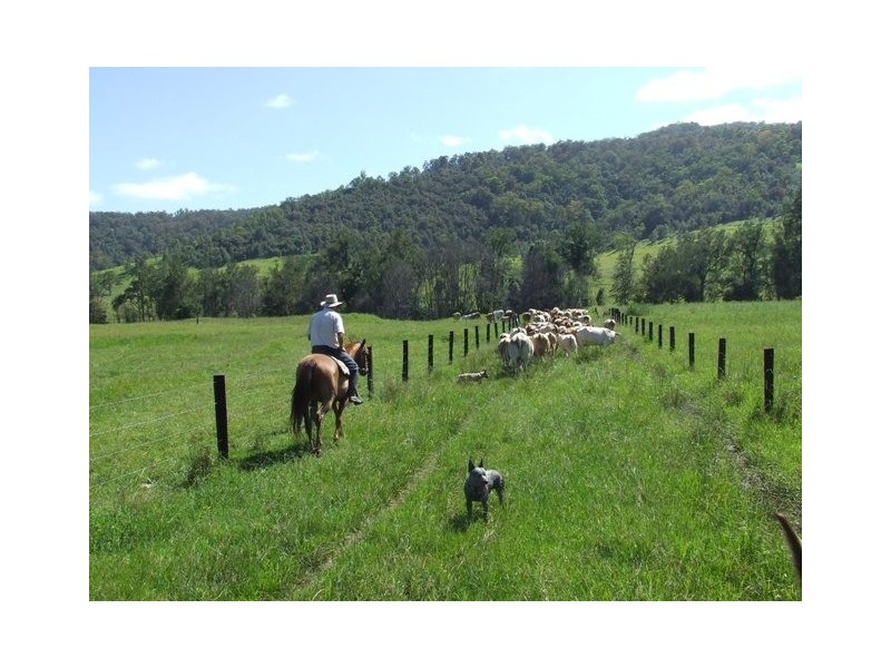 2469 Kangaroo Creek Road, Kangaroo Creek NSW 2460