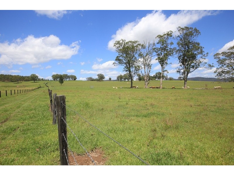 2469 Kangaroo Creek Road, Kangaroo Creek NSW 2460