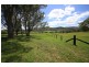 2469 Kangaroo Creek Road, Kangaroo Creek NSW 2460
