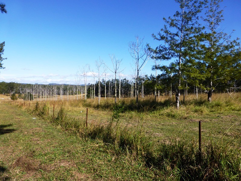 366 Omega Drive, Kungala NSW 2460