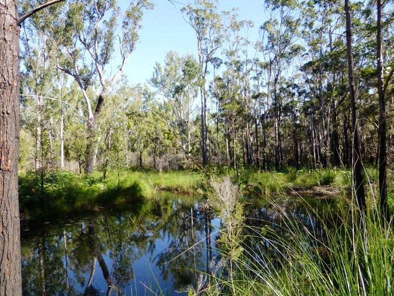 366 Omega Drive, Kungala NSW 2460
