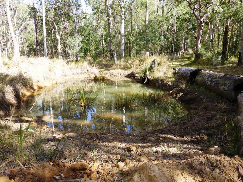 812 Parker Road, Lanitza NSW 2460