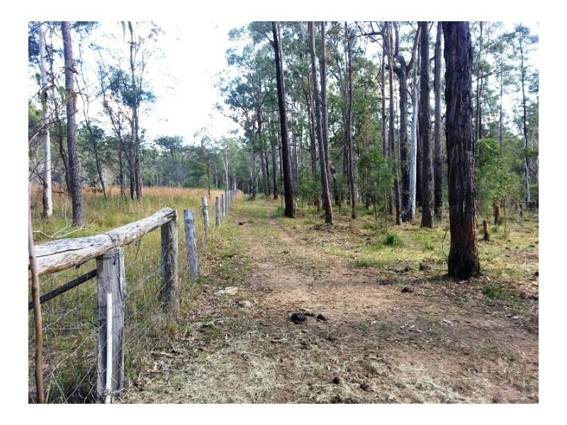 812 Parker Road, Lanitza NSW 2460