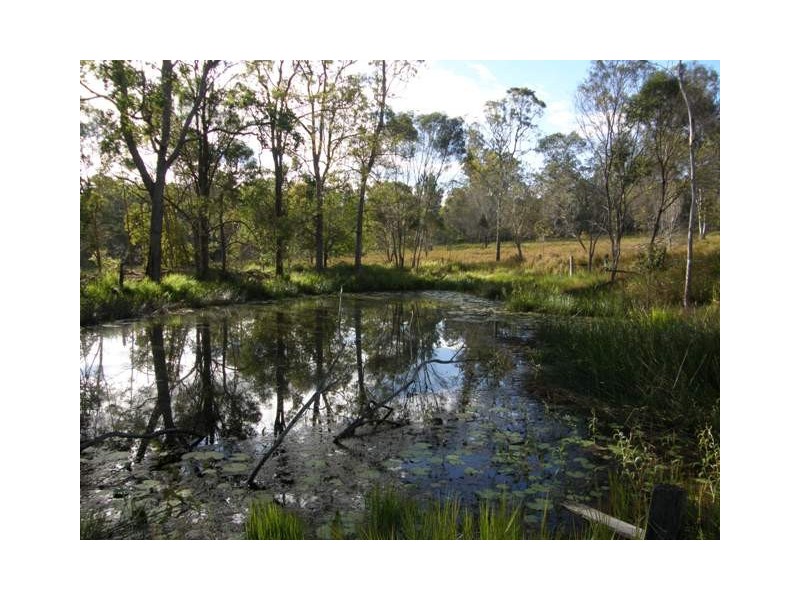 Lot 806 Sanders Road, Whiteman Creek NSW 2460