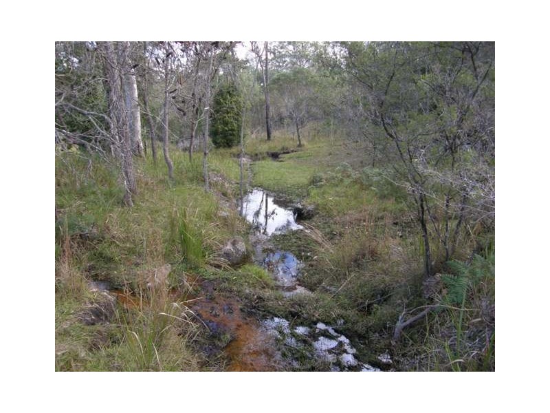 Lot 806 Sanders Road, Whiteman Creek NSW 2460