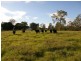 Lot 806 Sanders Road, Whiteman Creek NSW 2460