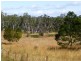 366 Omega Drive, Kungala NSW 2460