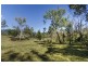 8076 Old Glen Innes Road, Newton Boyd NSW 2370
