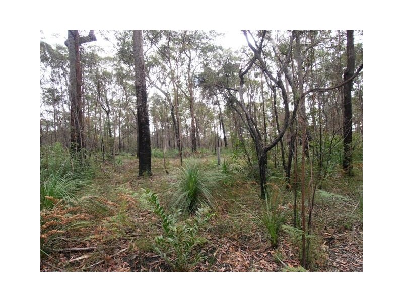 Lot 21 Stockyard Creek Road, Coaldale NSW 2460