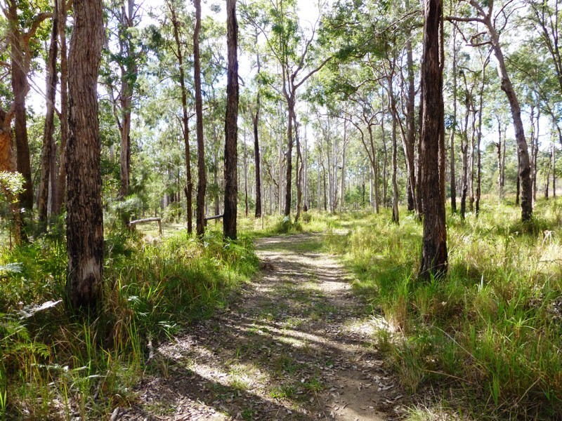 812 Parker Road, Lanitza NSW 2460