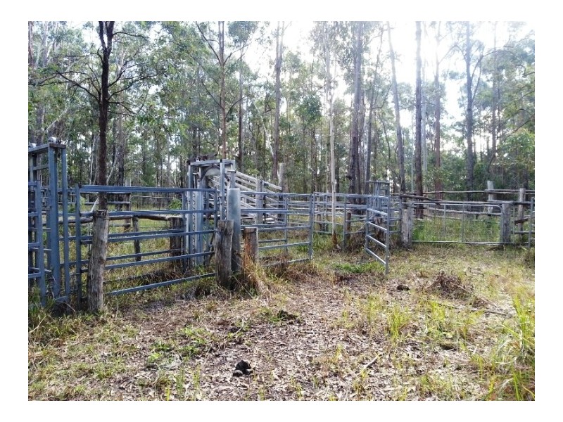 812 Parker Road, Lanitza NSW 2460