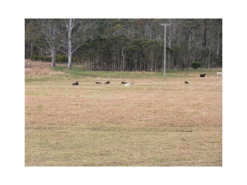 826 Old Tenterfield Road, Whiporie NSW 2469