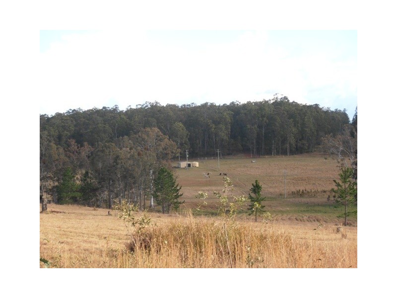 826 Old Tenterfield Road, Whiporie NSW 2469