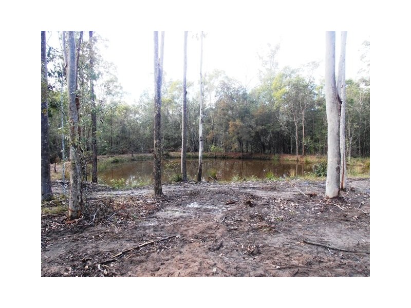 826 Old Tenterfield Road, Whiporie NSW 2469