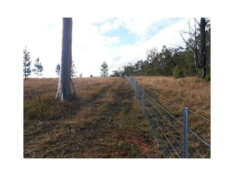 826 Old Tenterfield Road, Whiporie NSW 2469