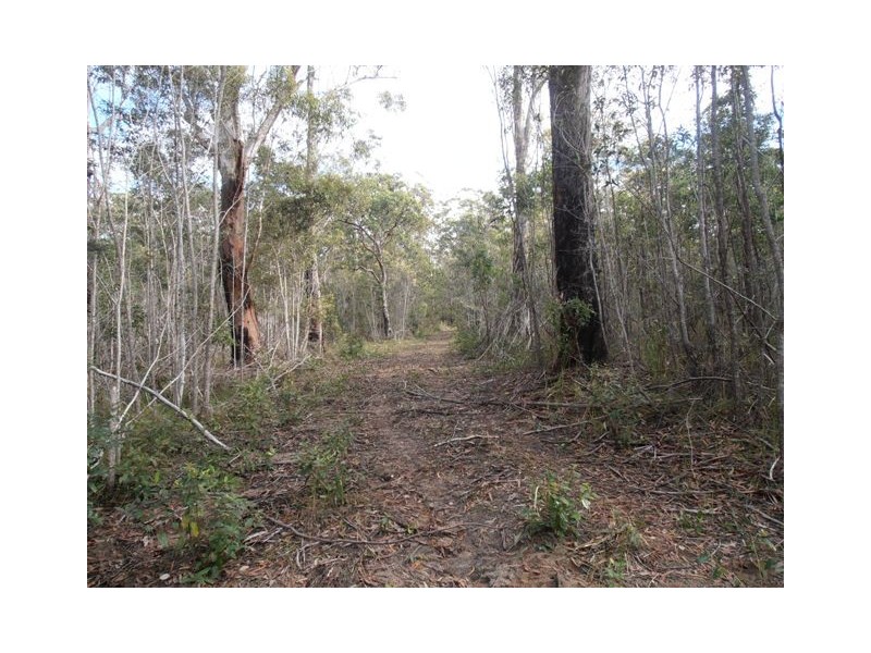 Lot 21 Stockyard Creek Road, Coaldale NSW 2460