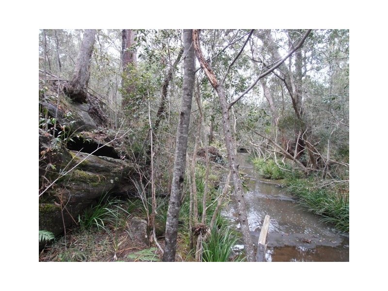 Lot 21 Stockyard Creek Road, Coaldale NSW 2460