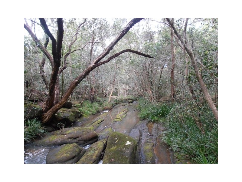 Lot 21 Stockyard Creek Road, Coaldale NSW 2460