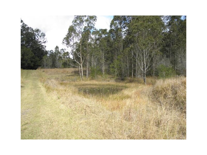 155 Gallaghers Lane, Tullymorgan NSW 2463