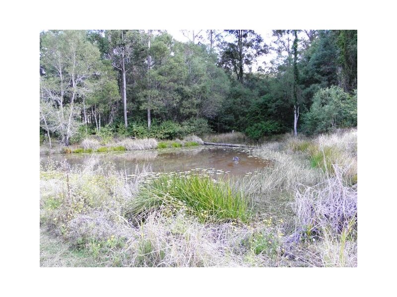 155 Gallaghers Lane, Tullymorgan NSW 2463