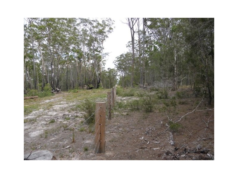 155 Gallaghers Lane, Tullymorgan NSW 2463